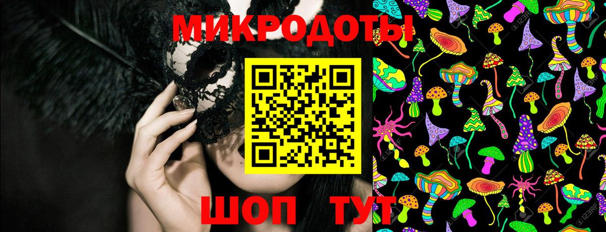 Галлюциногенные грибы Psilocybe Подольск