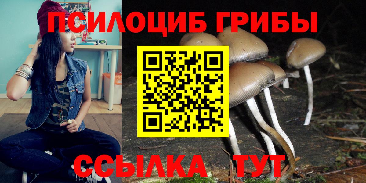Подольск  Галлюциногенные грибы ЛСД  Вход с VPN 